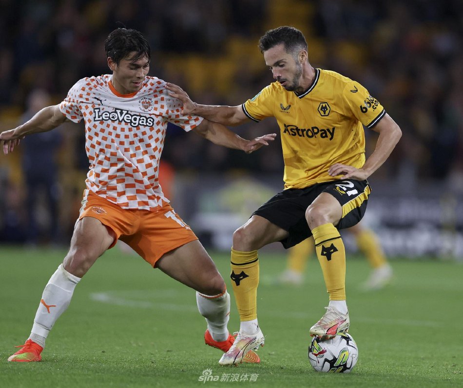 的关键词布 的关键词布